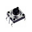 Tact Switches